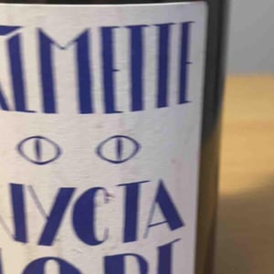 Nyctalope - Domaine la Calmette - Maya Sallée & Nicolas Fernandez 