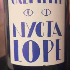 Nyctalope - Domaine la Calmette - Maya Sallée & Nicolas Fernandez 