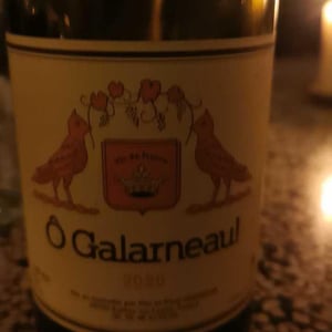 Ô Galarneau - Vins Hodgson - mai-kenji-hodgson