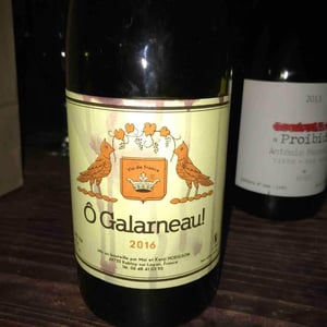 Ô Galarneau - Vins Hodgson - mai-kenji-hodgson