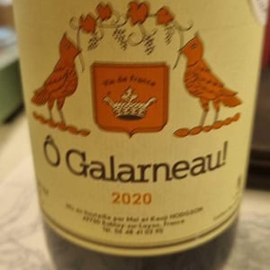 Ô Galarneau - Vins Hodgson - Mai & Kenji Hodgson 