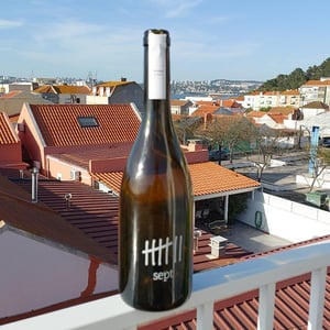 Obeideh - Sept Winery - Maher Harb -2020