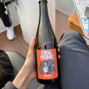 Domaine Geschickt - Arnaud Geschickt & Aurélie Fayolle - Obi Wine Keno Bulle