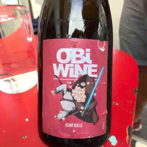Domaine Geschickt - Arnaud Geschickt & Aurélie Fayolle - Obi Wine Keno Bulle