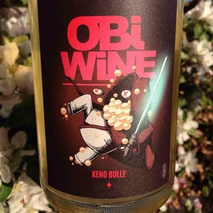 Domaine Geschickt - Arnaud Geschickt & Aurélie Fayolle - Obi Wine Keno Bulle