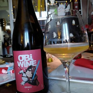 Domaine Geschickt - Arnaud Geschickt & Aurélie Fayolle - Obi Wine Keno Bulle