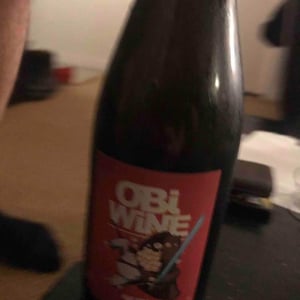 Domaine Geschickt - Arnaud Geschickt & Aurélie Fayolle - Obi Wine Keno Bulle