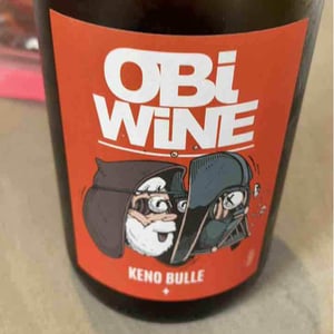 Domaine Geschickt - Arnaud Geschickt & Aurélie Fayolle - Obi Wine Keno Bulle