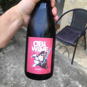 Domaine Geschickt - Arnaud Geschickt & Aurélie Fayolle - Obi Wine Keno Bulle
