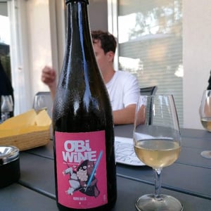 Domaine Geschickt - Arnaud Geschickt & Aurélie Fayolle - Obi Wine Keno Bulle