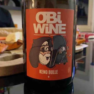 Domaine Geschickt - Arnaud Geschickt & Aurélie Fayolle - Obi Wine Keno Bulle