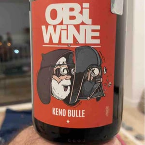 Domaine Geschickt - Arnaud Geschickt & Aurélie Fayolle - Obi Wine Keno Bulle