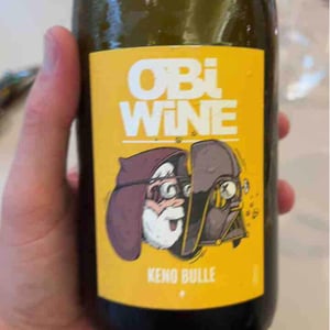 Domaine Geschickt - Arnaud Geschickt & Aurélie Fayolle - Obi Wine Keno Bulle