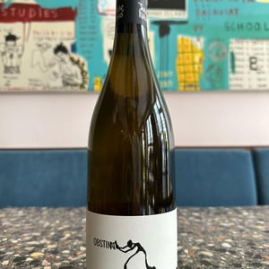 Obstinat - Celler Cal Tiques - Joan Rubio 