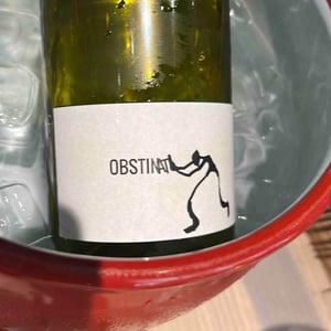 Obstinat - Celler Cal Tiques - Joan Rubio 