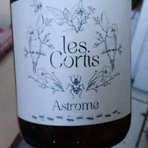 Obuscule - Les Cortis - isabelle-jeremy-decoster-coiffier