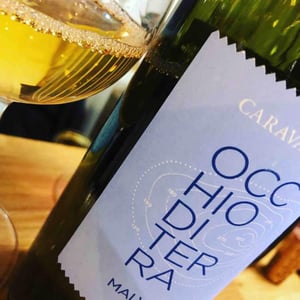 Occhio Di Terra Malvasia - Azienda Agricola Caravaglio Antonino - antonino-caravaglio