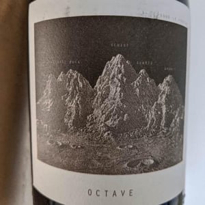 Sous Le Vegetal - Patrick Bouju & Jason Ligas - Octave
