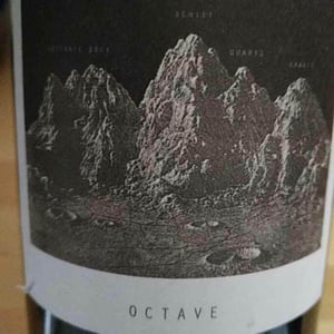 Sous Le Vegetal - Patrick Bouju & Jason Ligas - Octave