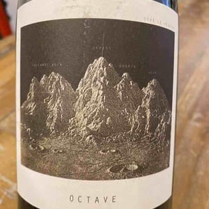 Octave - Sous Le Vegetal - Patrick Bouju & Jason Ligas 