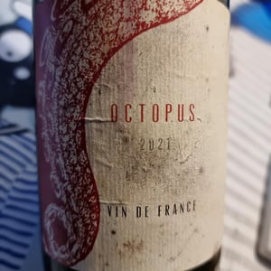 L'Austral - Pauline Mourrain & Laurent Troubat - Octopus Rouge