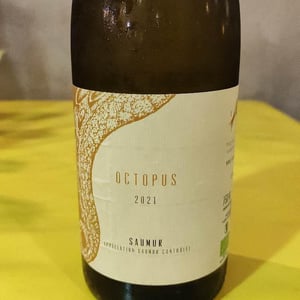 Octopus Blanc - L'Austral - pauline-mourrain-laurent-troubat -2020