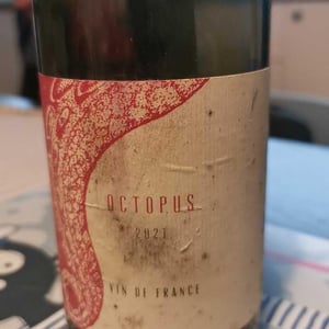 L'Austral - Pauline Mourrain & Laurent Troubat - Octopus Rouge