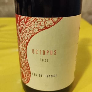 Octopus Rouge - L'Austral - pauline-mourrain-laurent-troubat