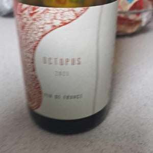 L'Austral - Pauline Mourrain & Laurent Troubat - Octopus Rouge