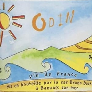 Odin - Bruno Duchêne - bruno-duchene