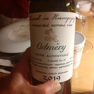 Odmery - Richard Stavek - Richard Stavek 
