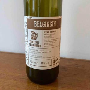 Belgingin - Vigne Del Pellagroso - Antonio Camazzola 