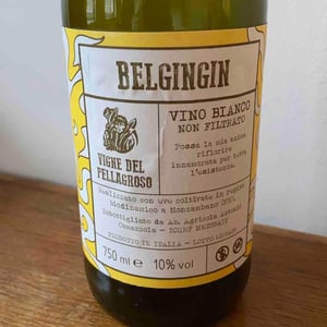 Belgingin - Vigne Del Pellagroso - Antonio Camazzola 
