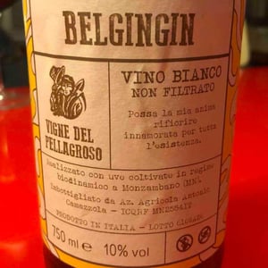 Belgingin - Vigne Del Pellagroso - antonio-camazzola