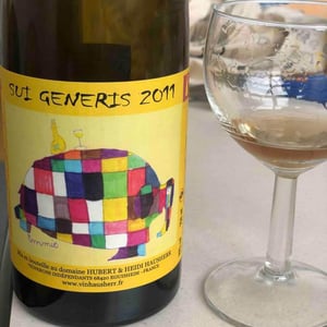 Sui Generis - Vin Hausherr - Hubert & Heidi Hausherr 