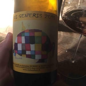 Sui Generis - Vin Hausherr - hubert-heidi-hausherr