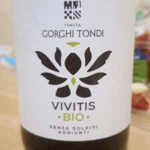 Vivitis 2018 2018