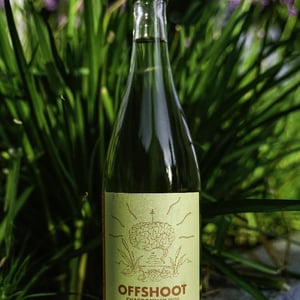 Offshoot pet nat - Heaps Good Wine - Nick Gee -2020