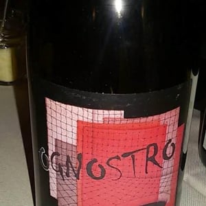 Ognostro 2010