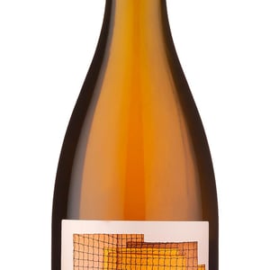 Ognostro Bianco - Azienda Agricola Tinessa - marco-tinessa -2024