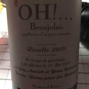 OH!... - Les Bertrand - guy-annick-yann-bertrand -2019