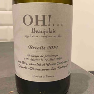 Les Bertrand - Guy, Annick & Yann Bertrand - OH!...