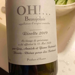 Les Bertrand - Guy, Annick & Yann Bertrand - OH!...