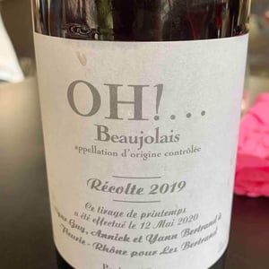 OH!... - Les Bertrand - guy-annick-yann-bertrand -2019