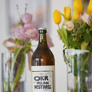 OKR - Milan Nestarec - milan-nestarec -2020