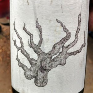 Old Vine - Broc Cellars - Chris Brockway 