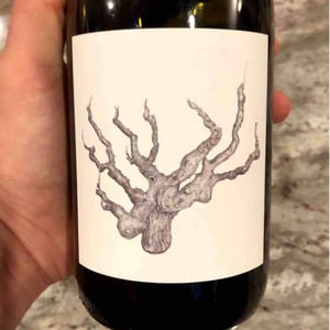 Old Vine - Broc Cellars - chris-brockway