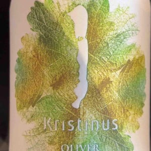 Oliver BIO - Kristinus - florian-zaruba