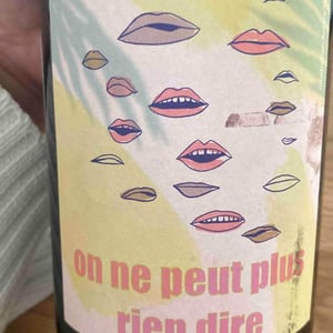 On Ne Peut Plus Rien Dire (X Vins & Volailles) - Domaine Bio Coste - Mathieu Coste 