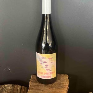 On Ne Peut Plus Rien Dire (X Vins & Volailles) - Domaine Bio Coste - mathieu-coste